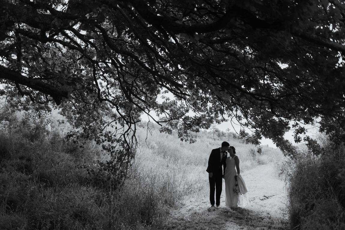 Couple walking a tree-lined path, black and white